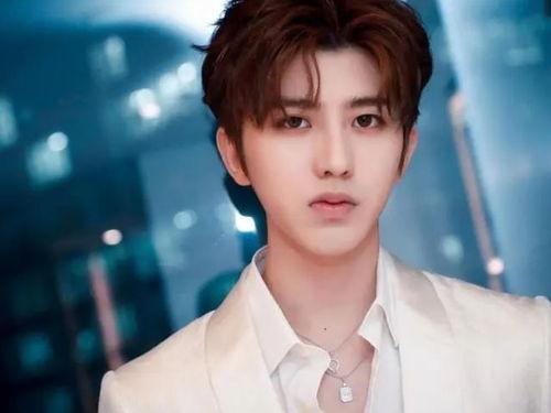 明星今晚开播,今晚开播！明星阵容集结，敬请期待！