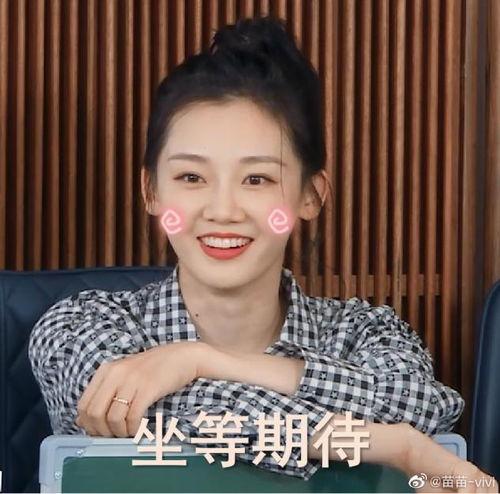 演员苗苗老公,揭秘明星背后的神秘力量