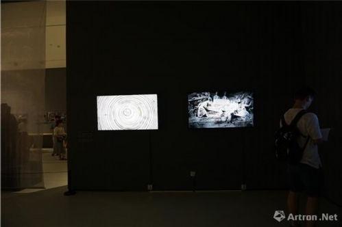 新视觉视觉视频,探索视觉艺术的新境界