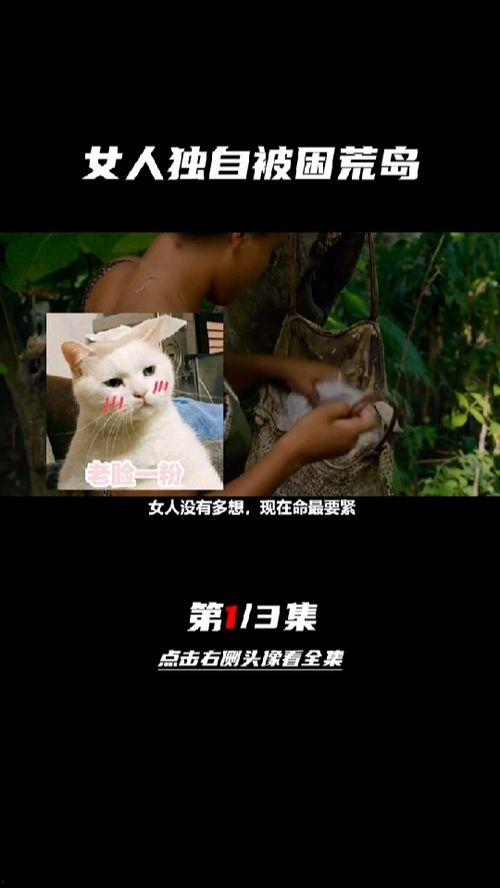 妖兽av,揭秘神秘生物的奇幻世界