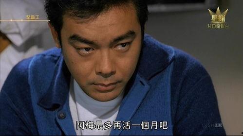 整蛊王电影在线播放,在线播放，笑料横生的整蛊大作战