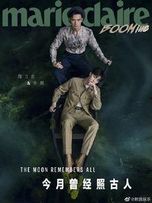 月夜影视在线观看,在线观影新体验，尽享月色下的光影盛宴